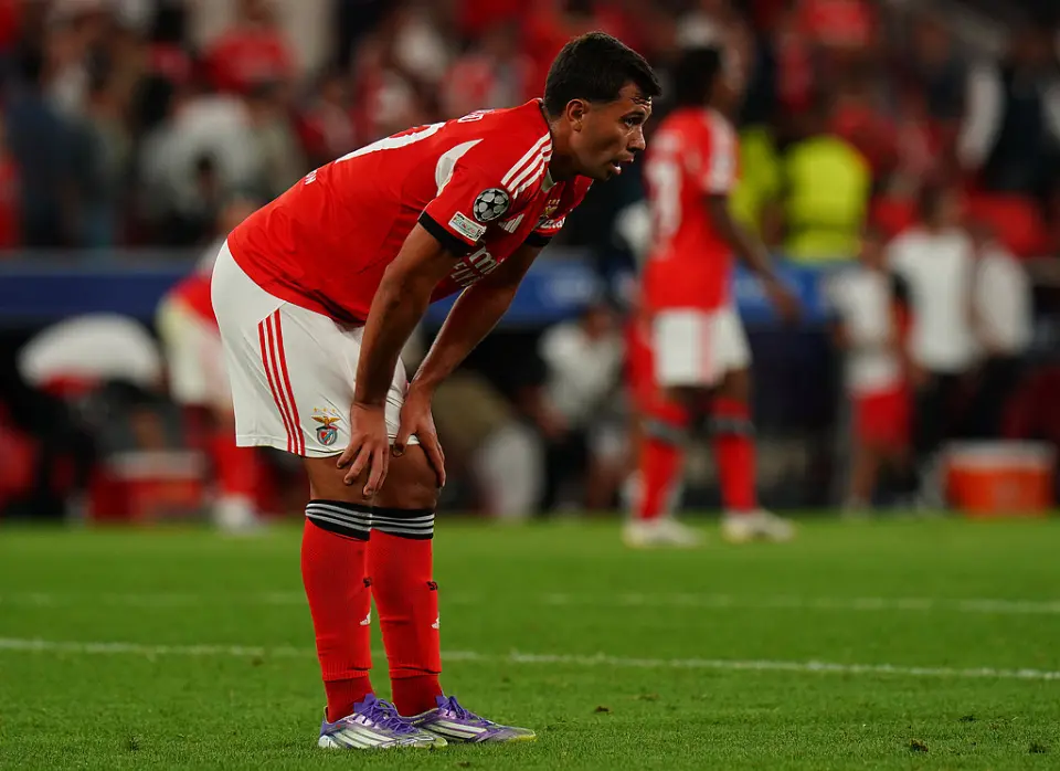 tenan, div, 的防线