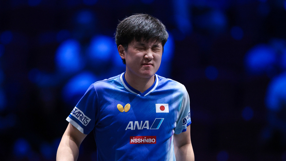 无缘, https, 中完全处于