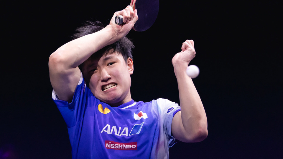 的张本智和, inews, 的薛飞