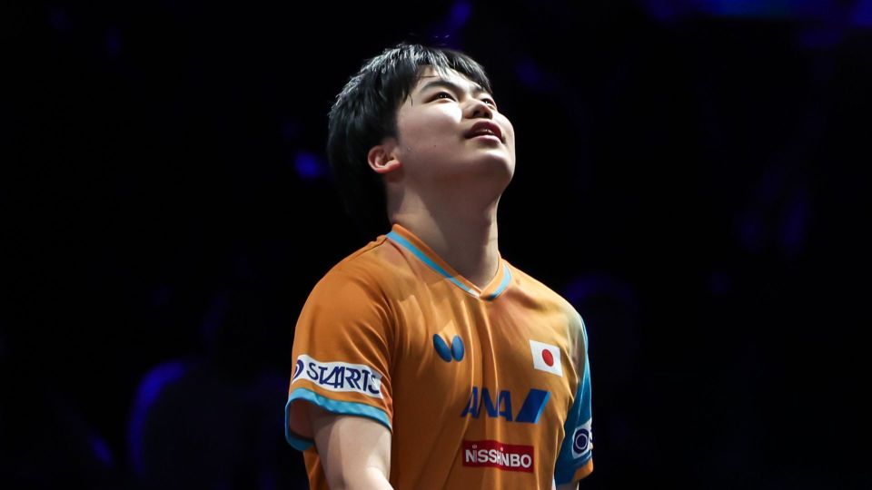 人参赛仅张, 的张本智和, img